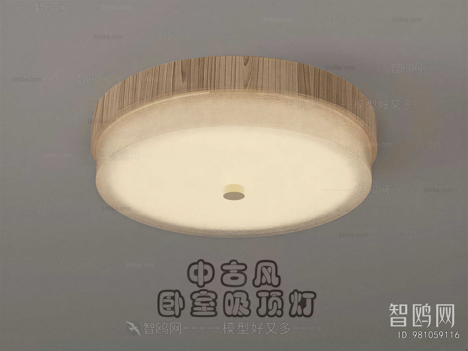 Modern Ceiling Ceiling Lamp