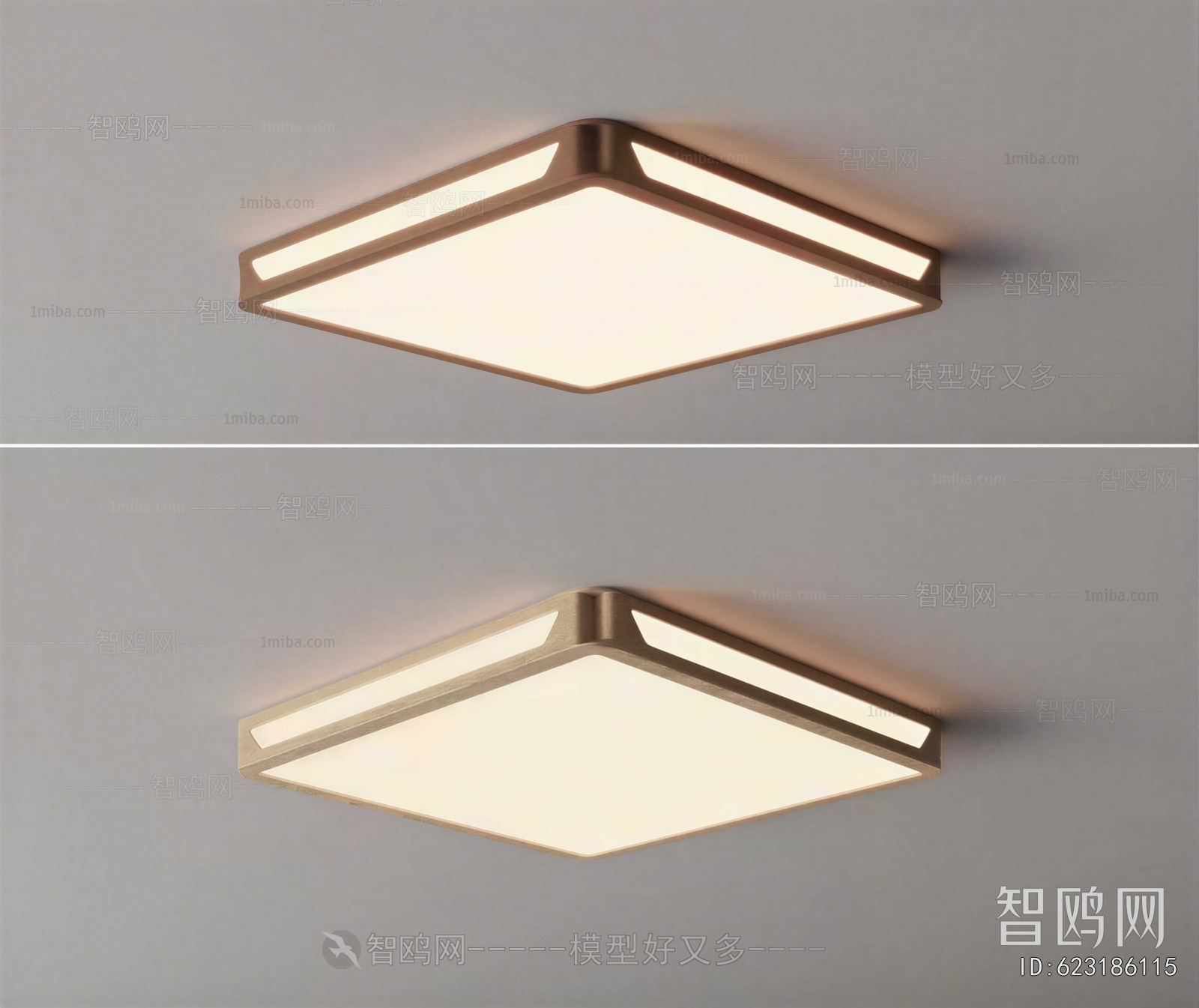 Modern Ceiling Ceiling Lamp