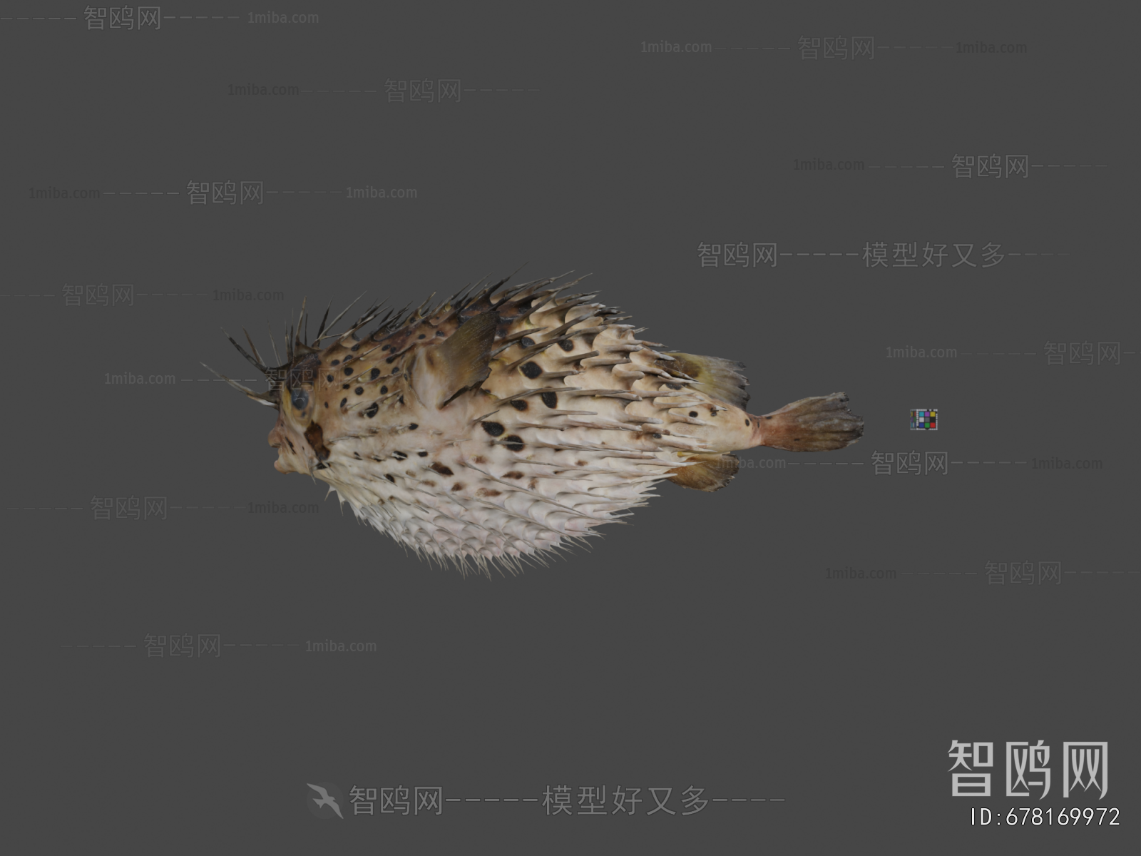 Modern Animal