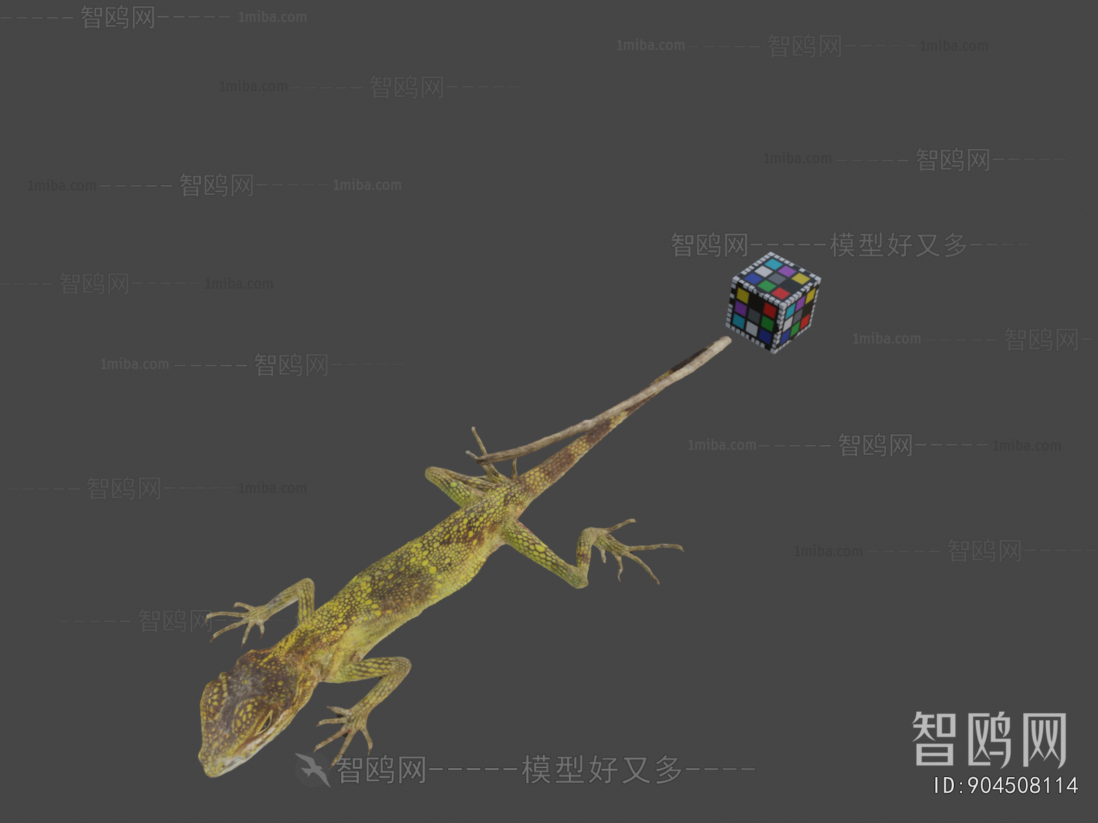Modern Animal