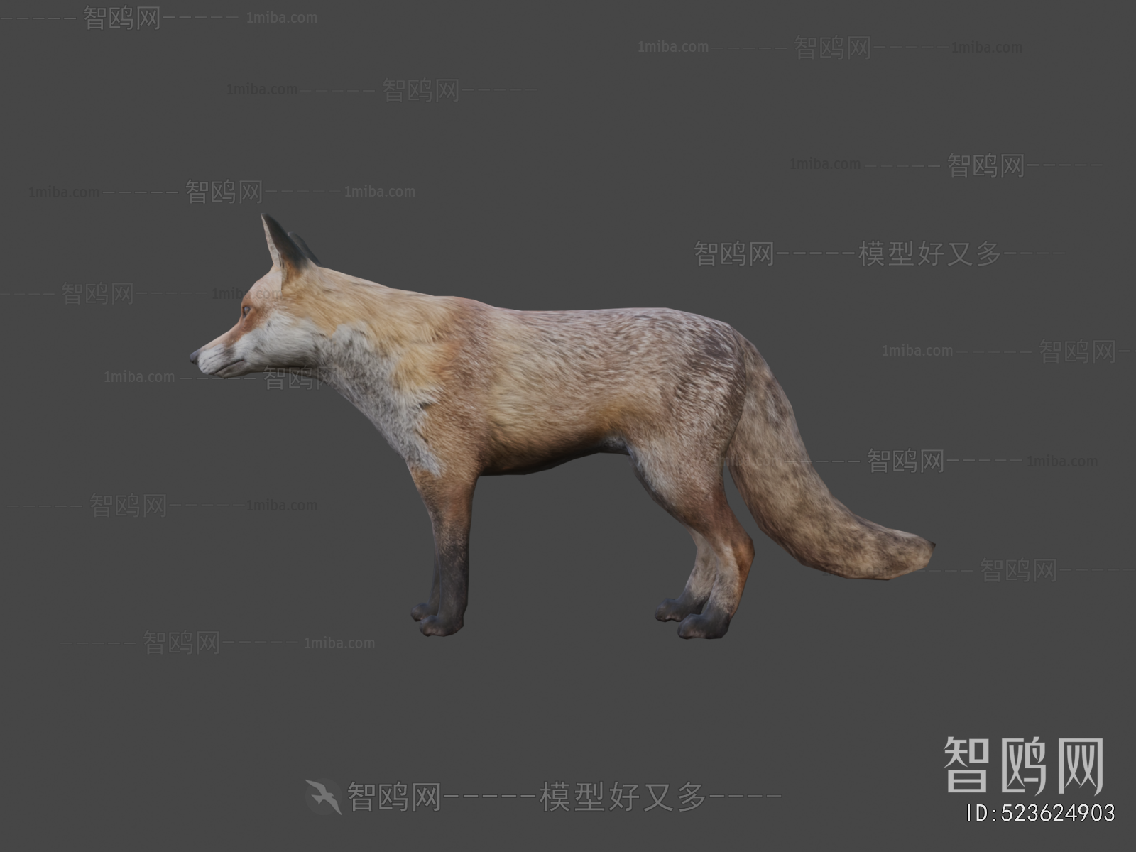 Modern Mammal