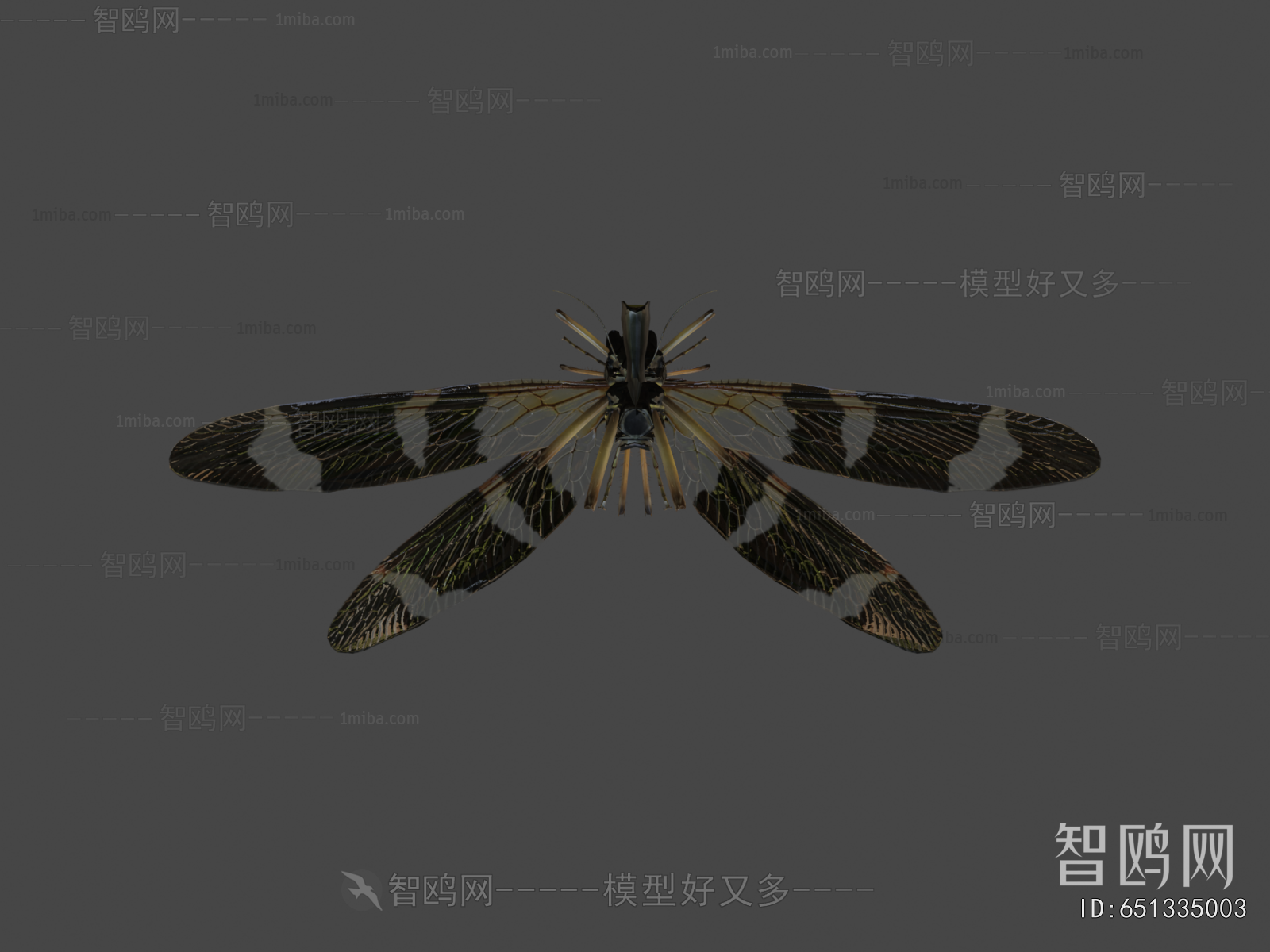 Modern Flying Animals