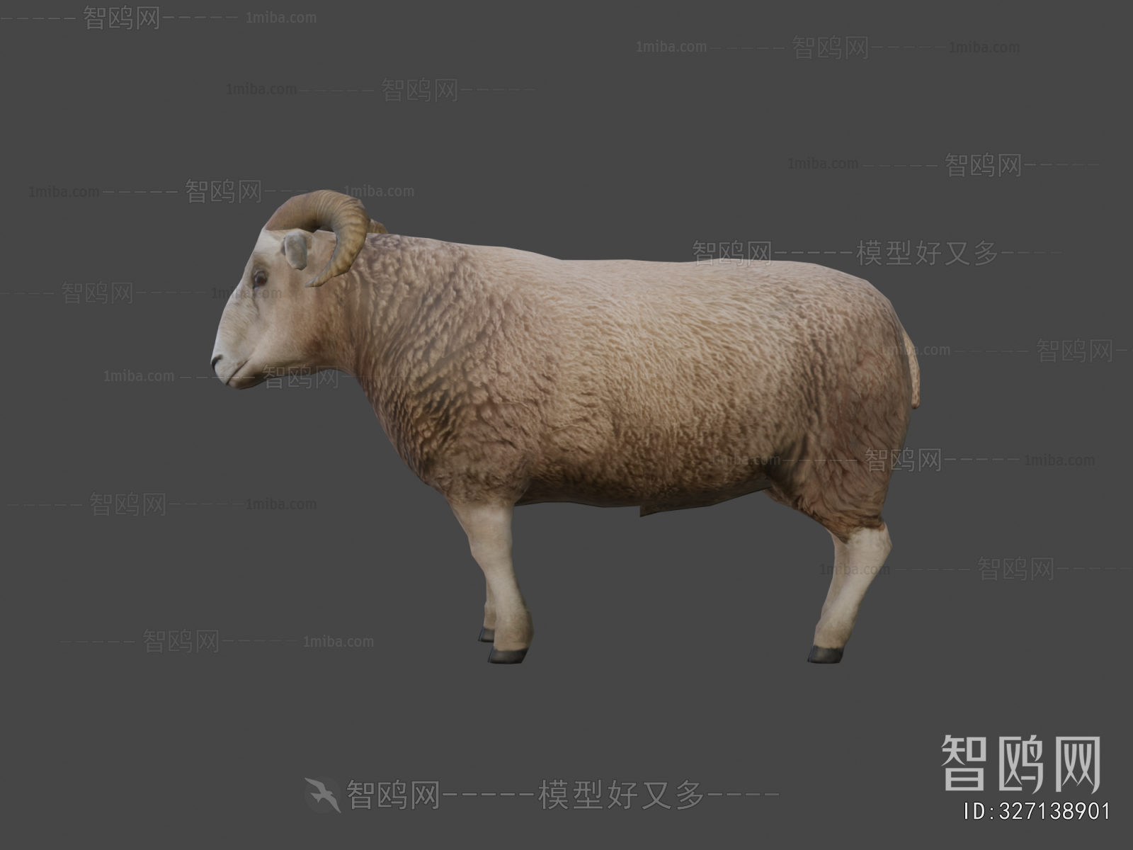 Modern Animal