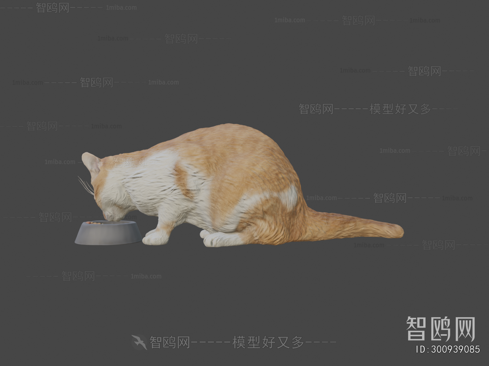 Modern Animal Cat