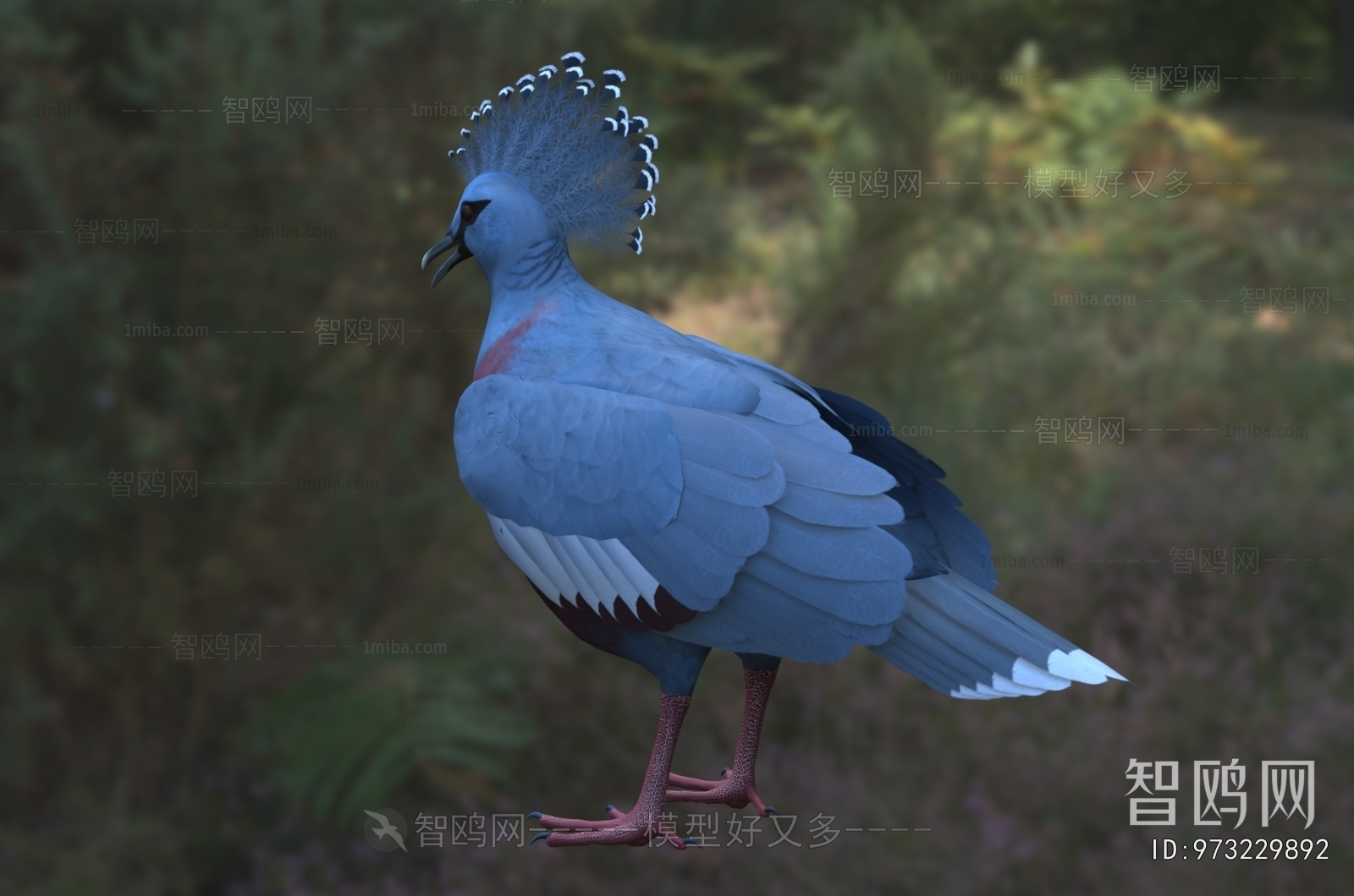 Modern Poultry Animal