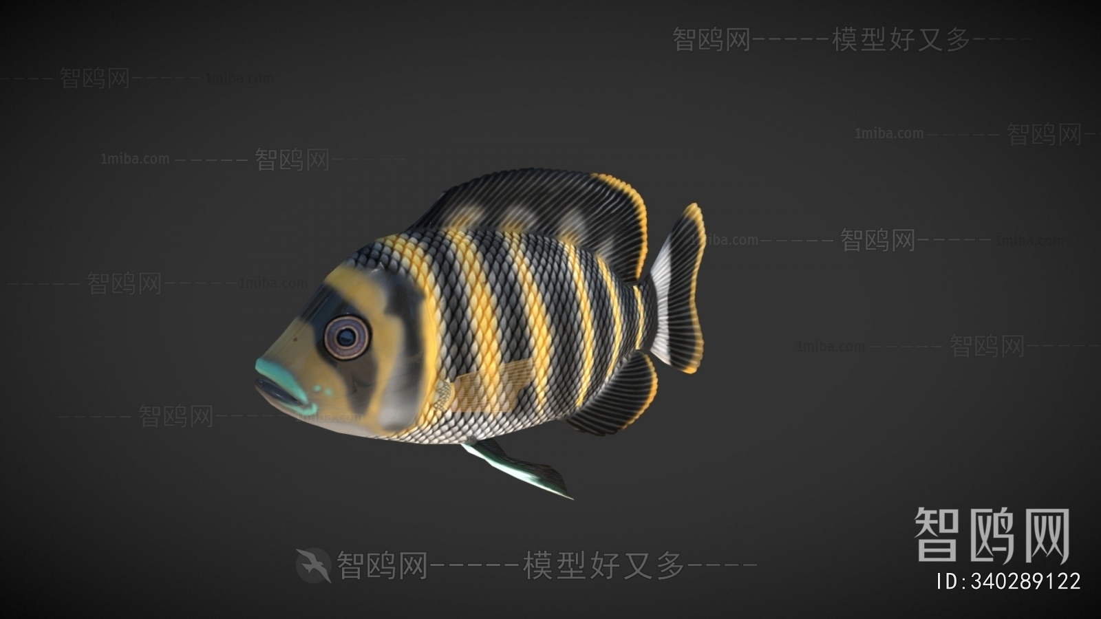 Modern Aquatic Animals