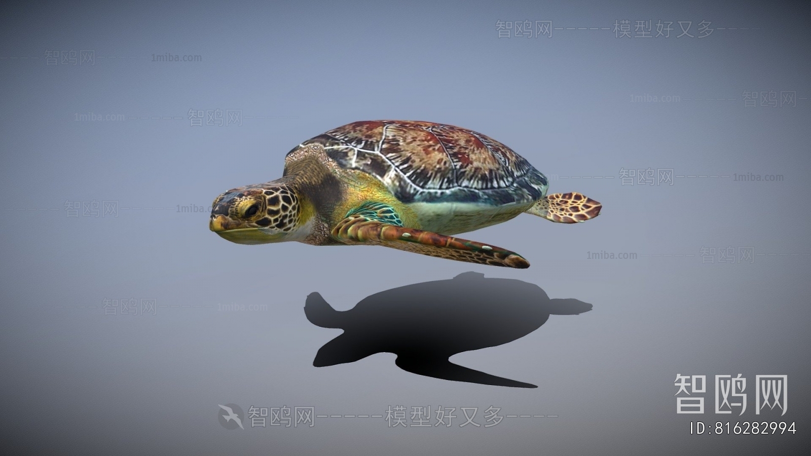Modern Aquatic Animals