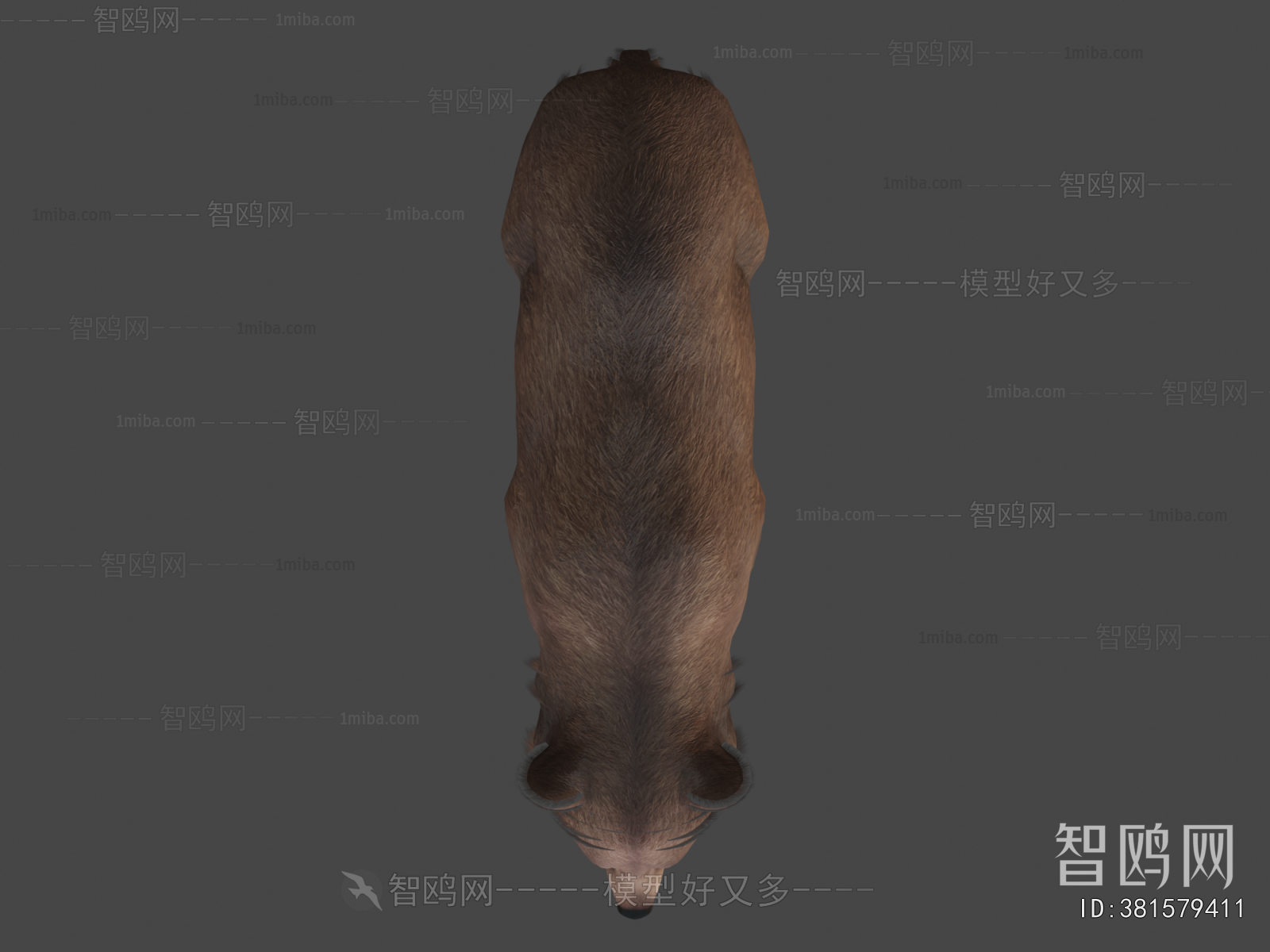 Modern Mammal