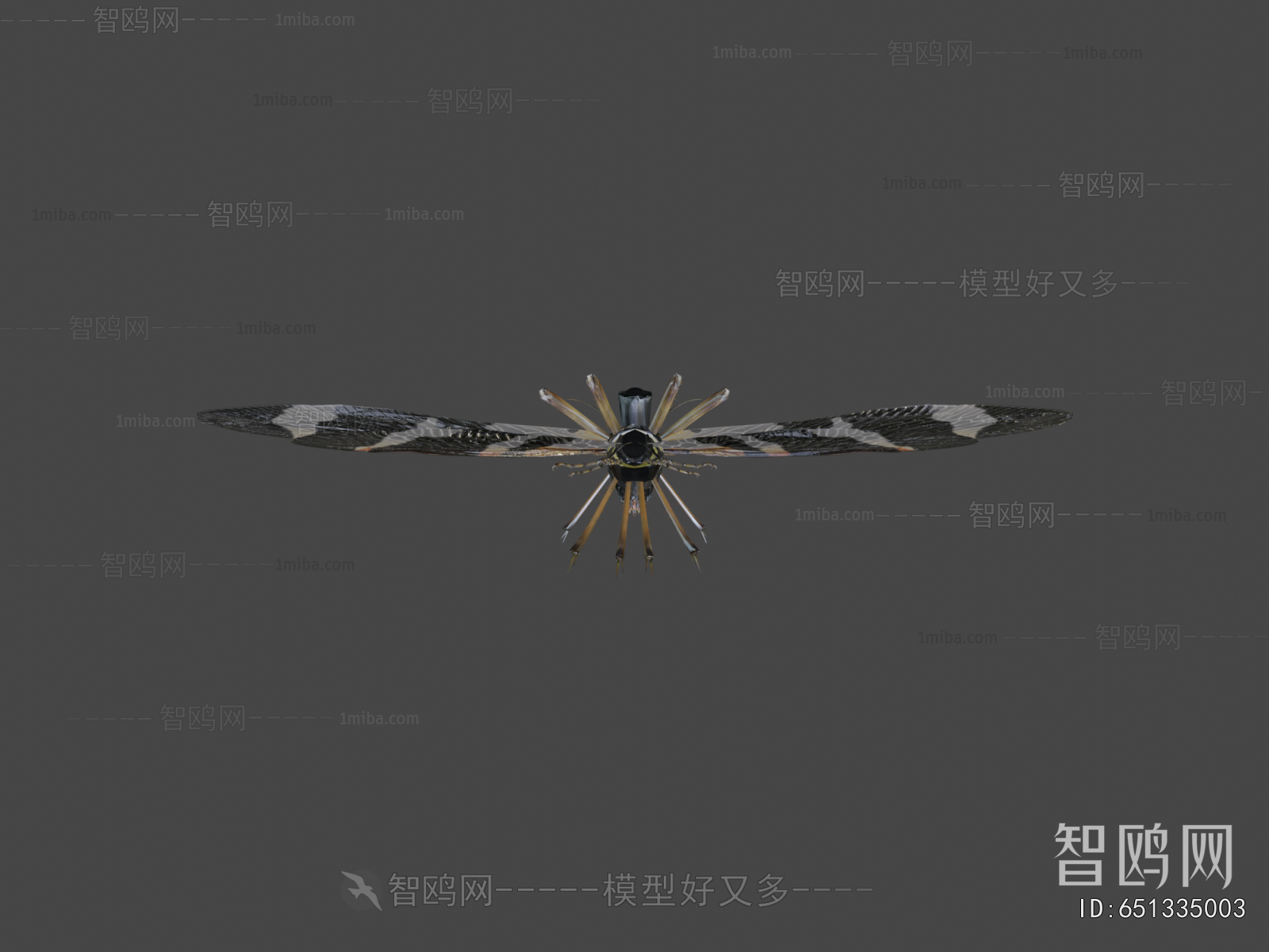 Modern Flying Animals