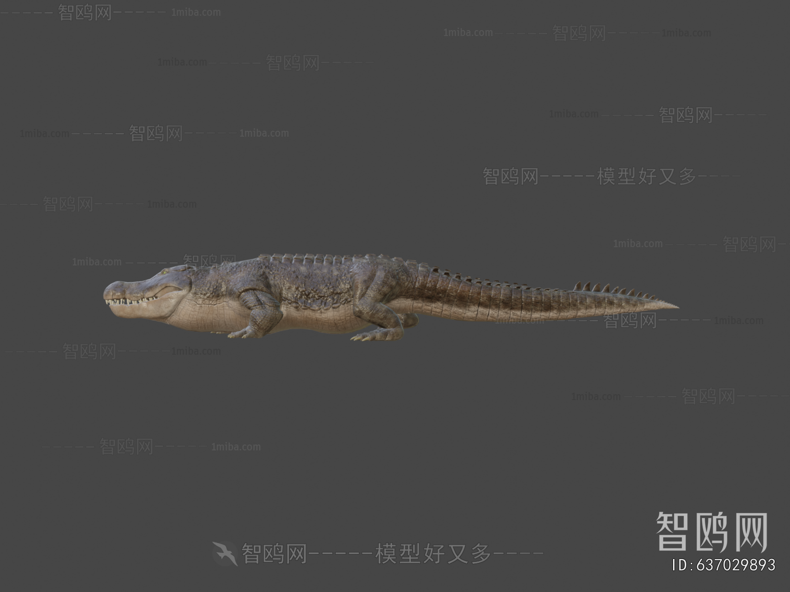 Modern Reptile