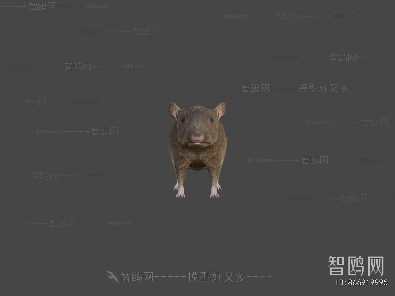 Modern Mammal