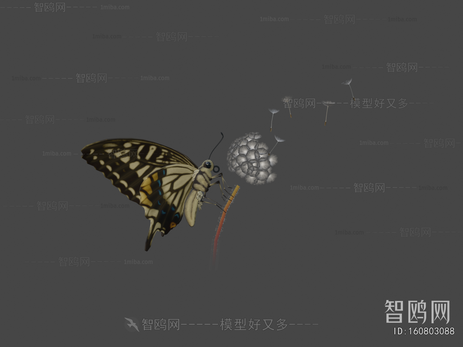 Modern Animal