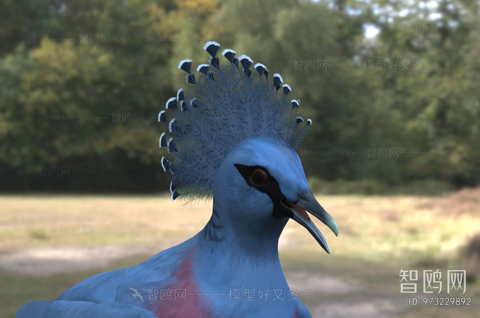 Modern Poultry Animal