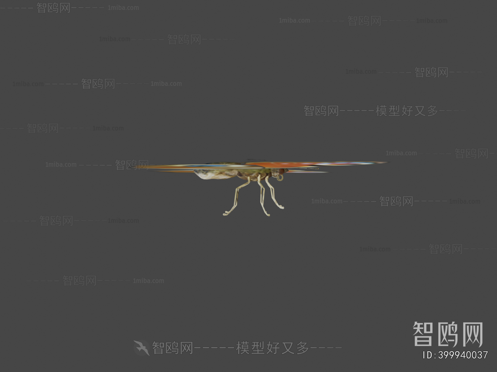 Modern Animal