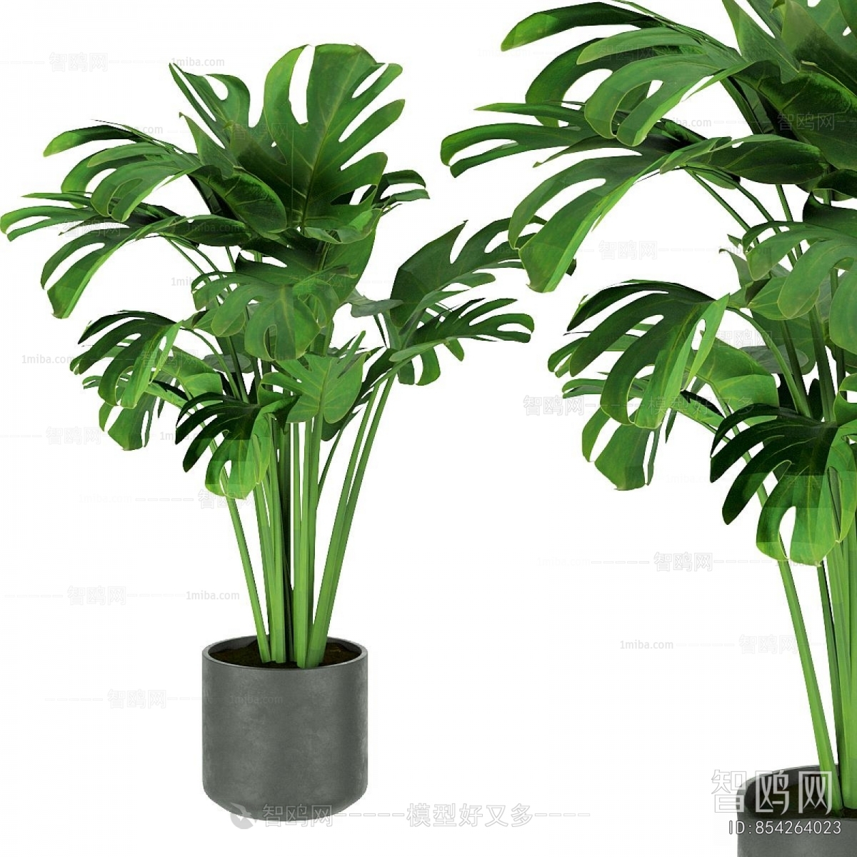 Modern Ground Green Plant Potted Plants