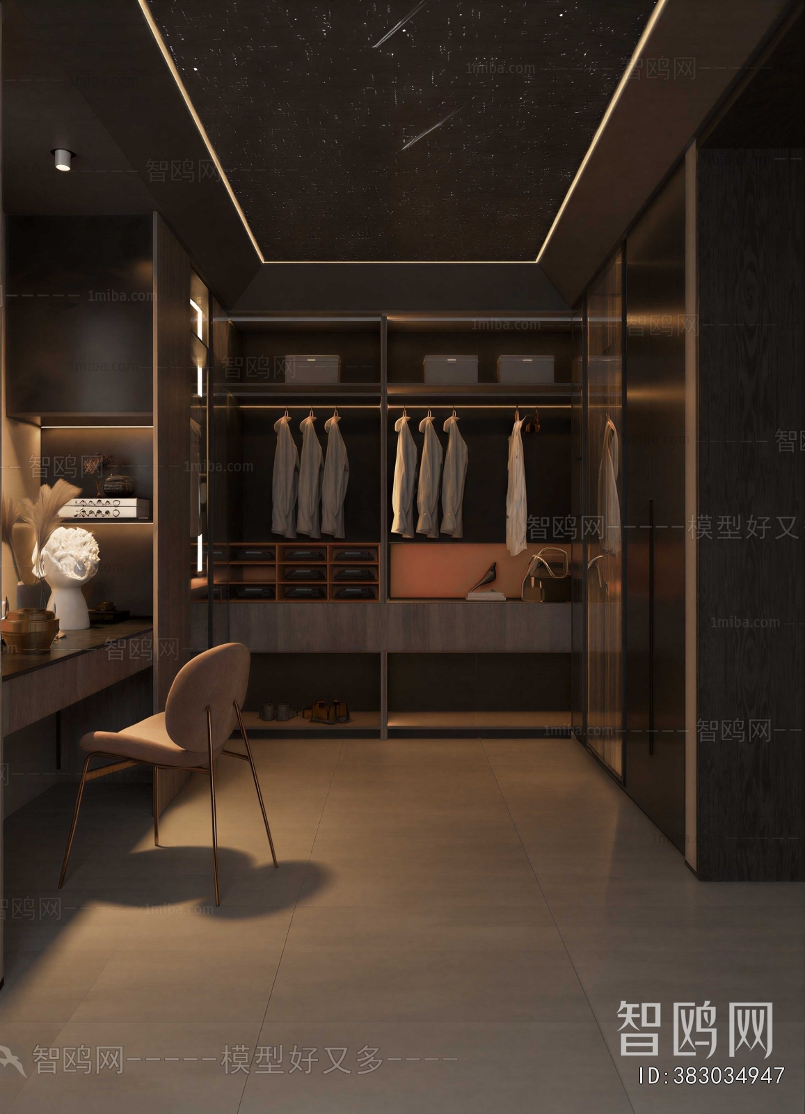 Modern Clothes Storage Area