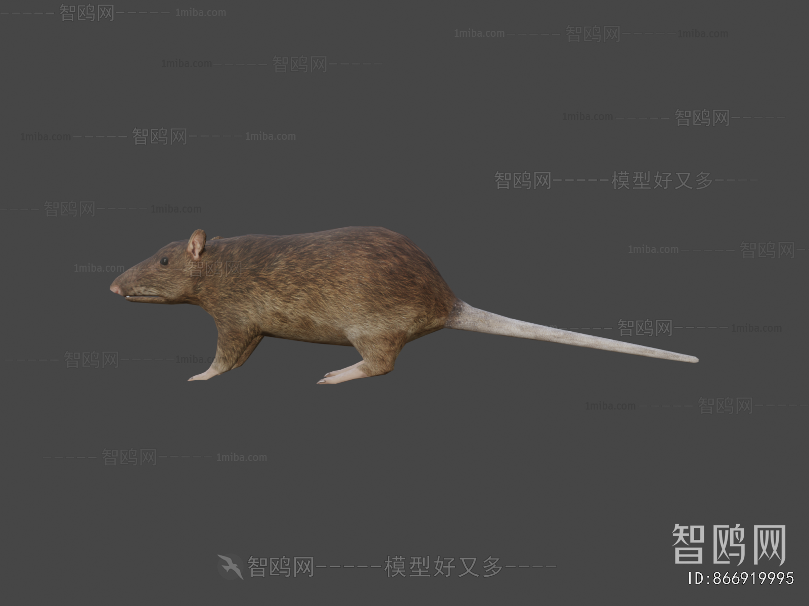 Modern Mammal