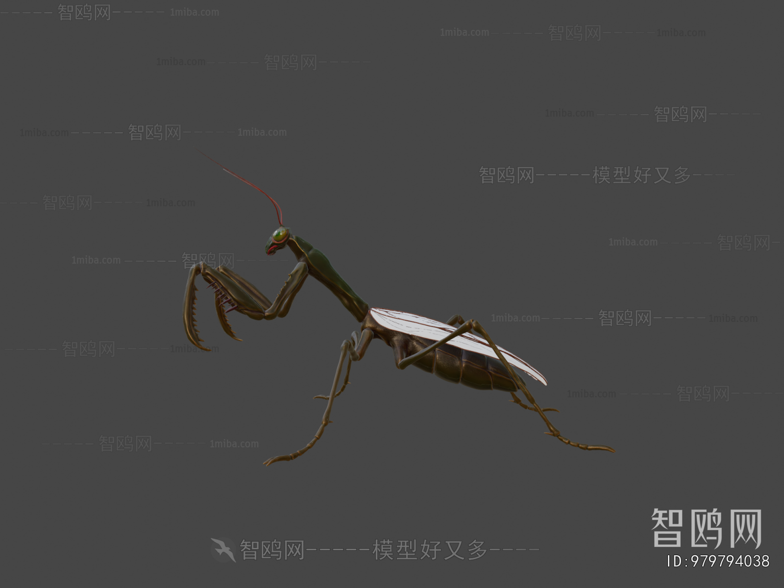Modern Animal