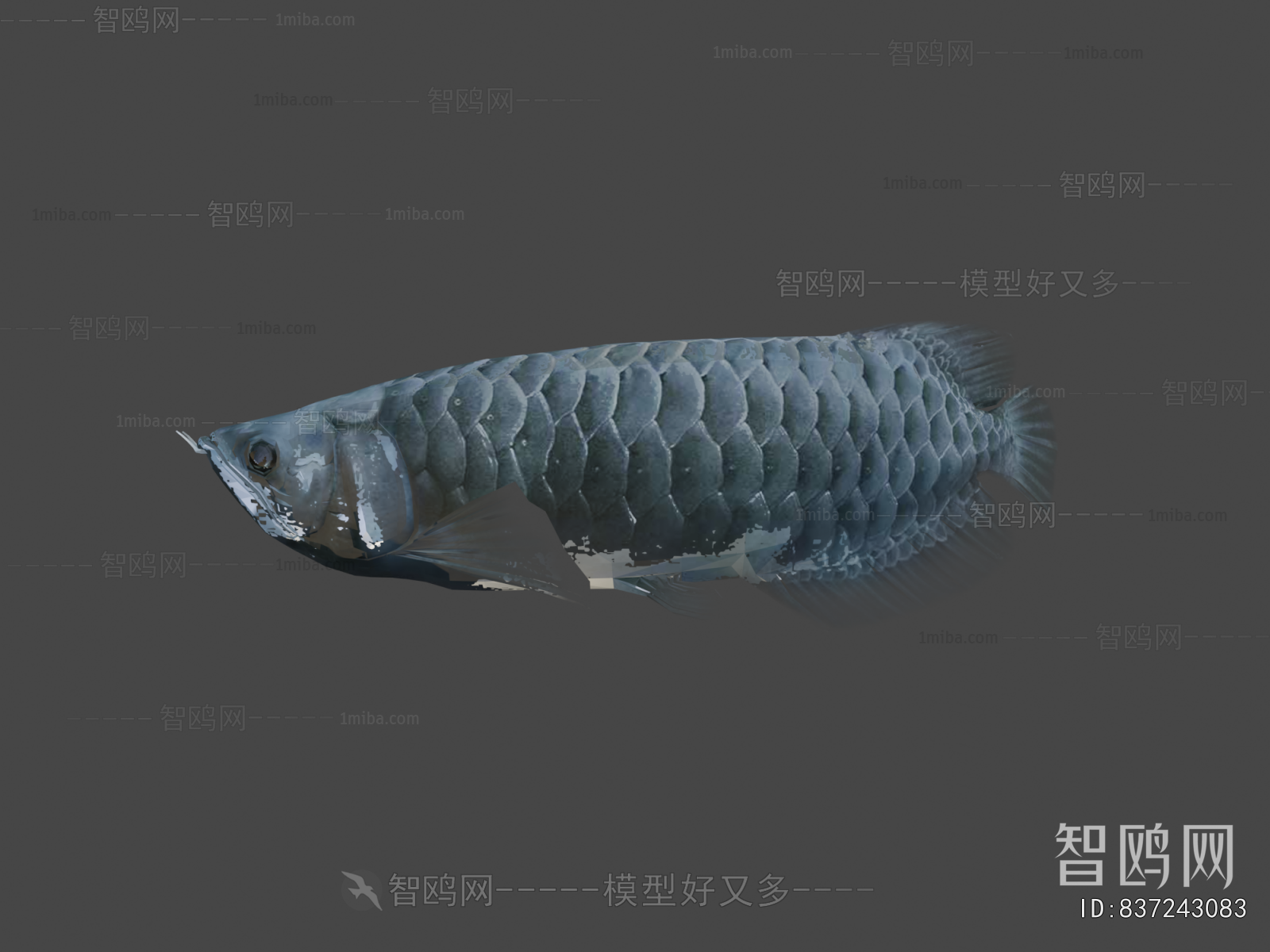 Modern Animal