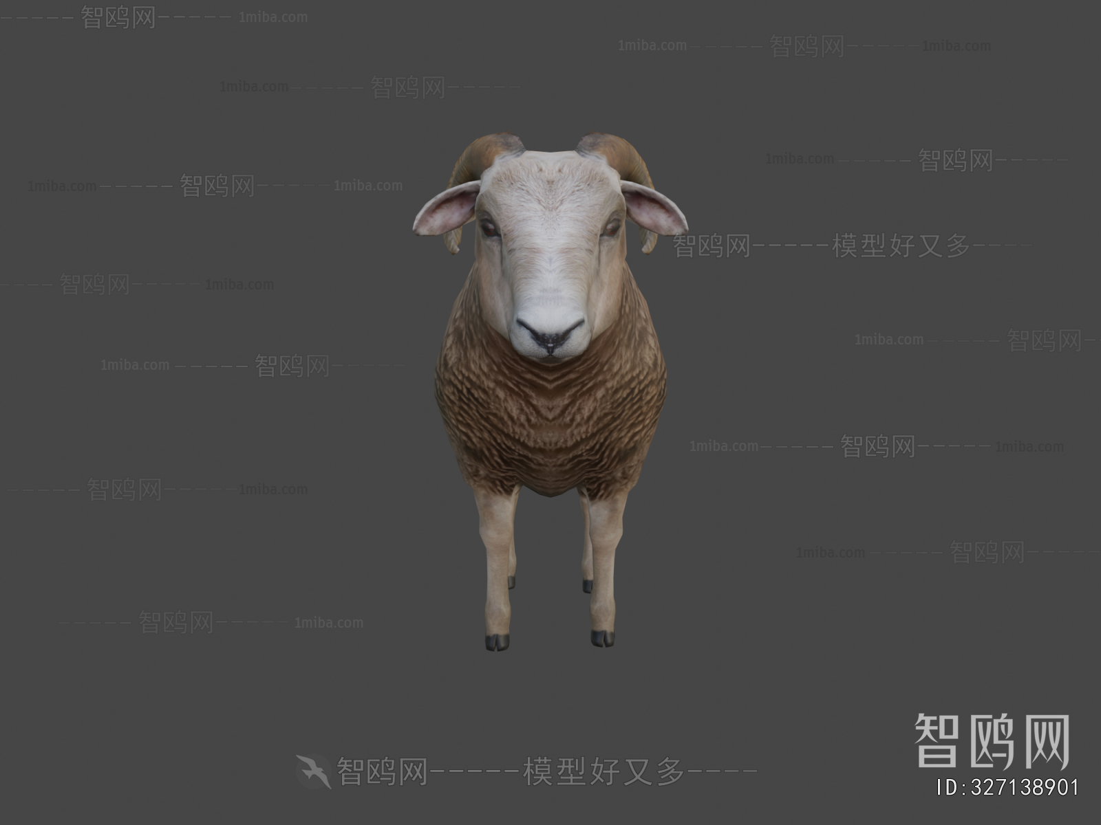 Modern Animal