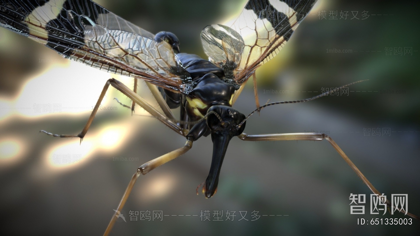 Modern Flying Animals