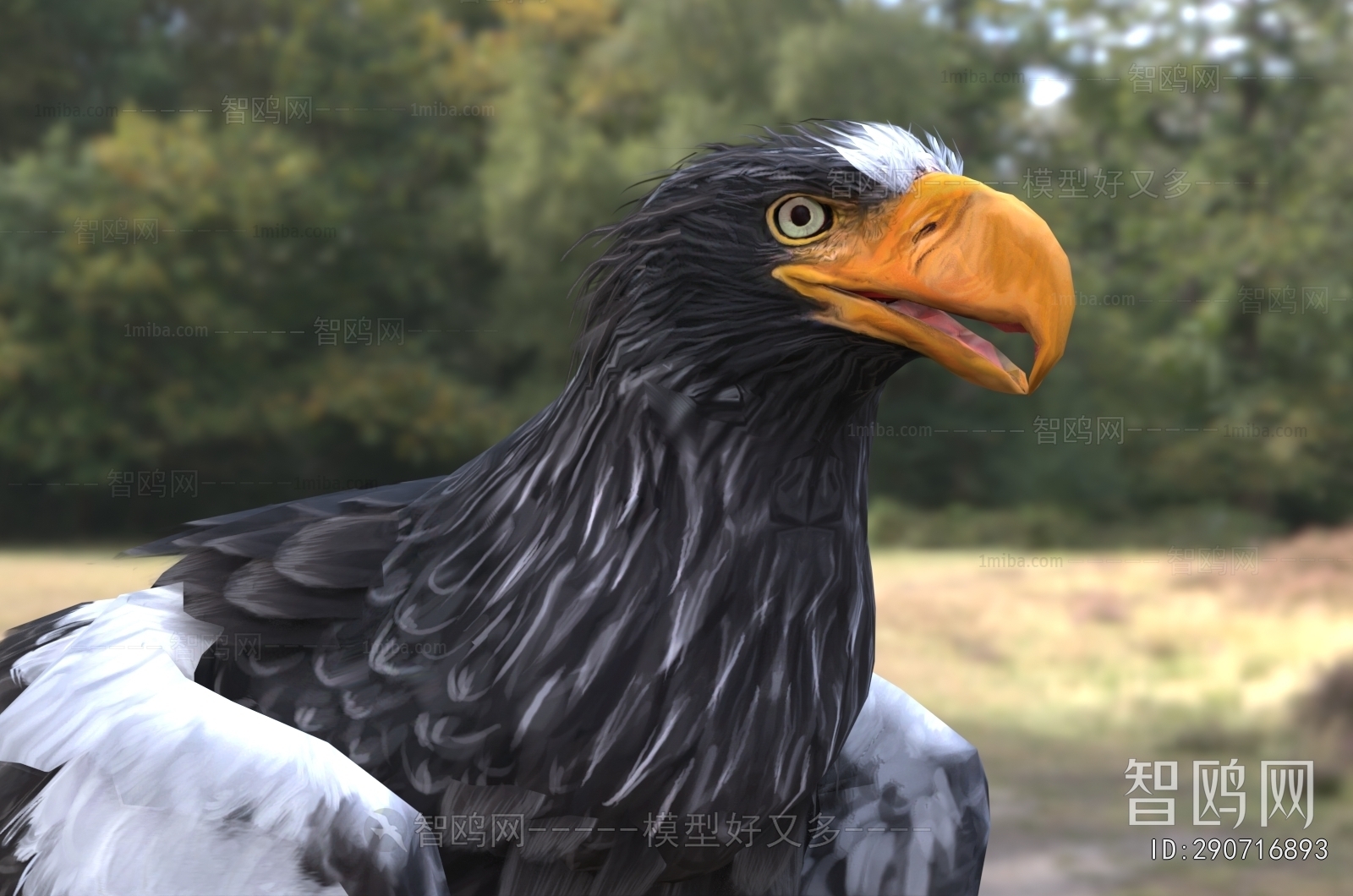 Modern Flying Animals