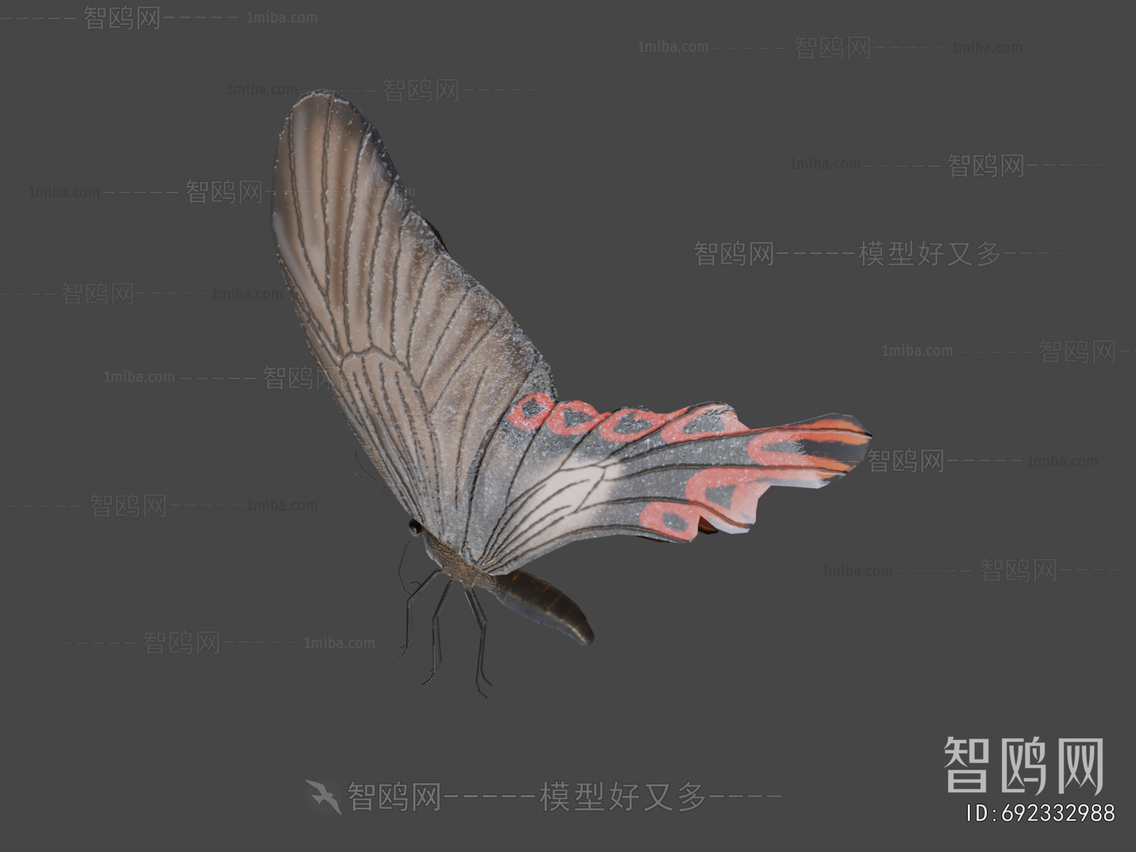 Modern Flying Animals