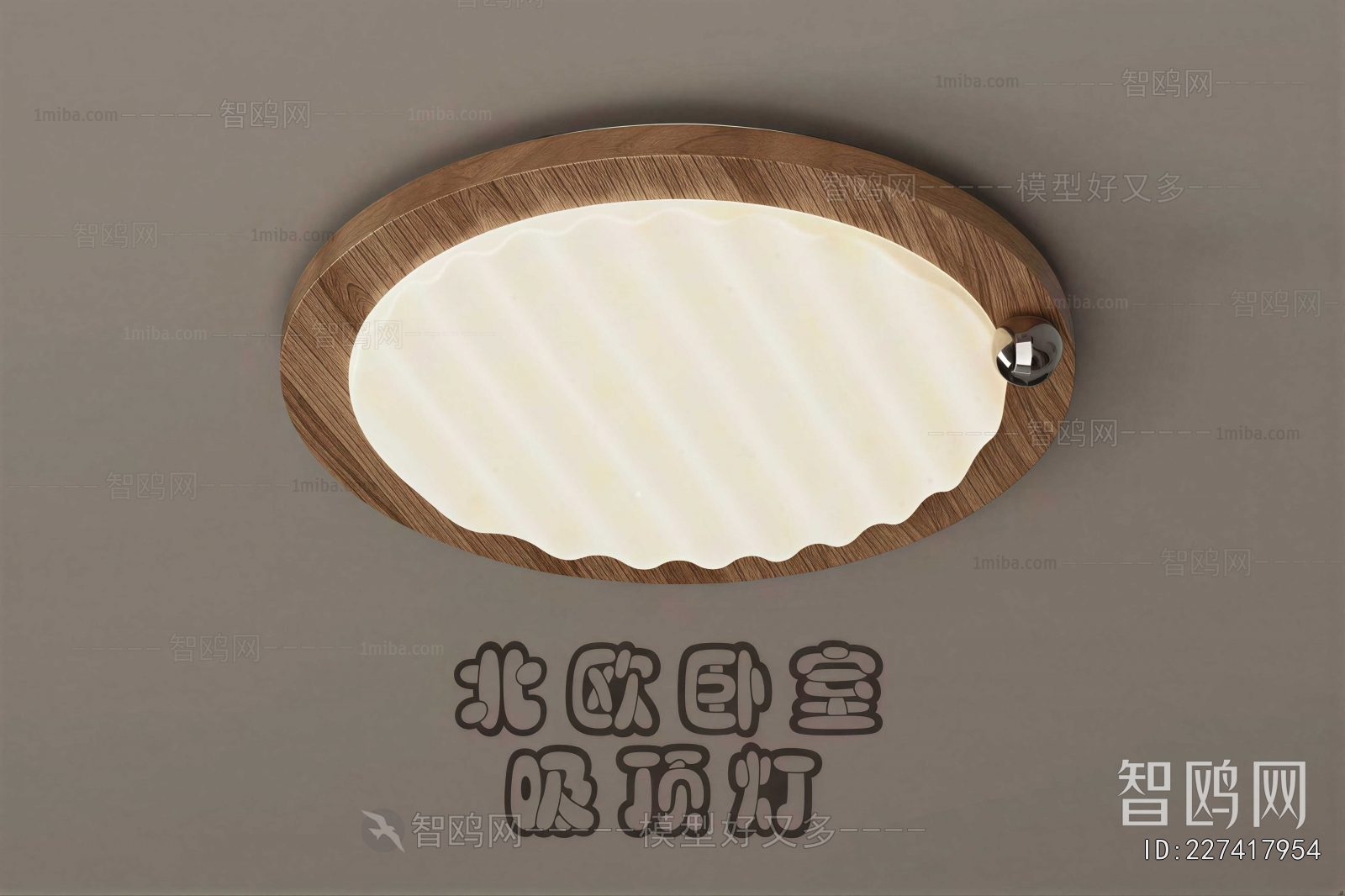 Modern Ceiling Ceiling Lamp
