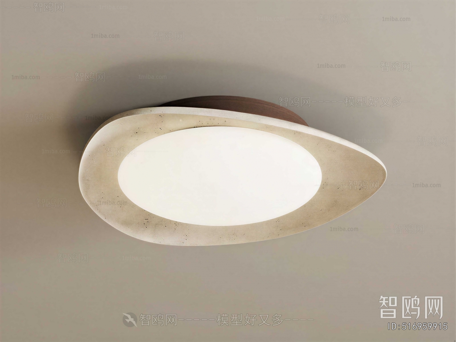 Modern Ceiling Ceiling Lamp