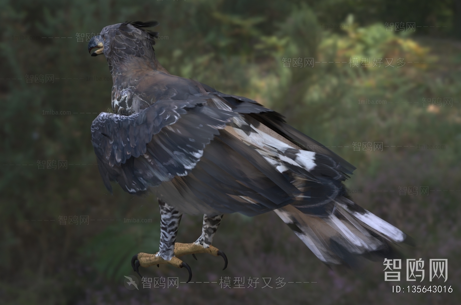 Modern Flying Animals