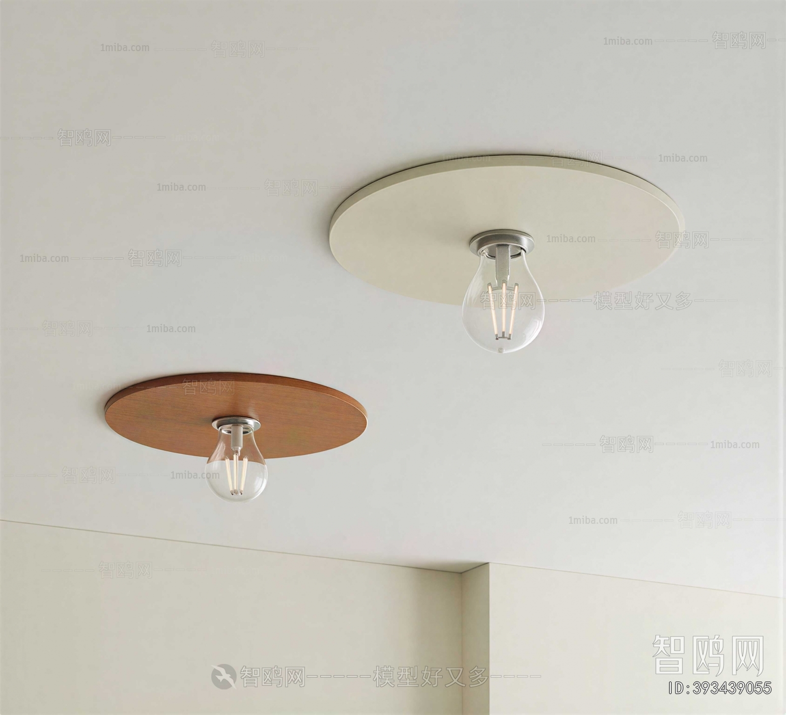 Modern Ceiling Ceiling Lamp