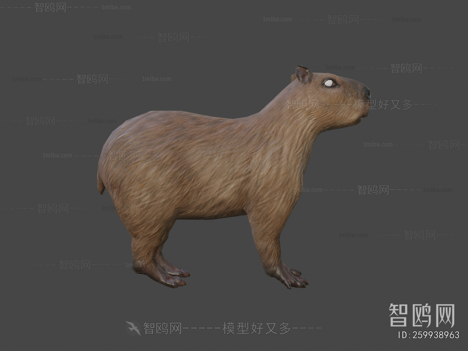 Modern Mammal