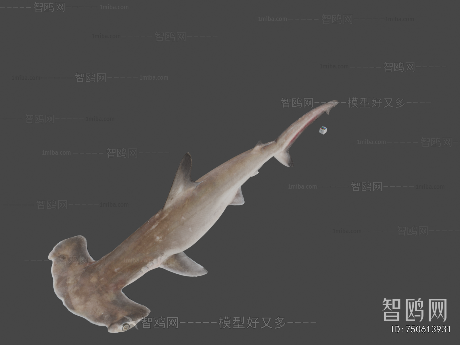 Modern Animal