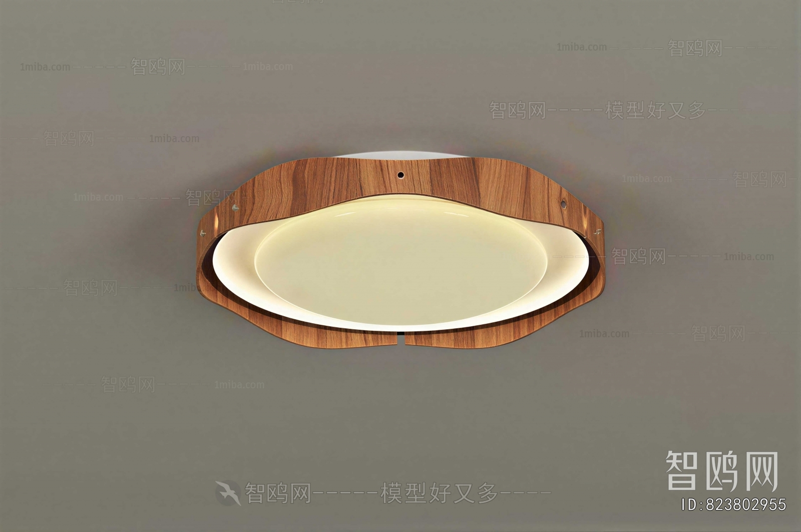 Modern Ceiling Ceiling Lamp