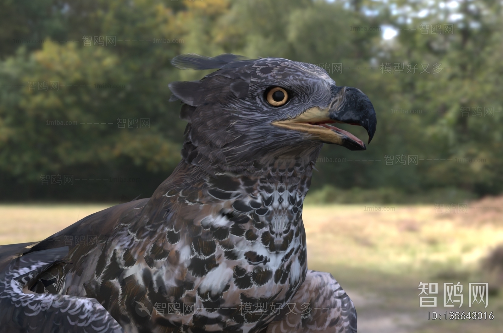 Modern Flying Animals