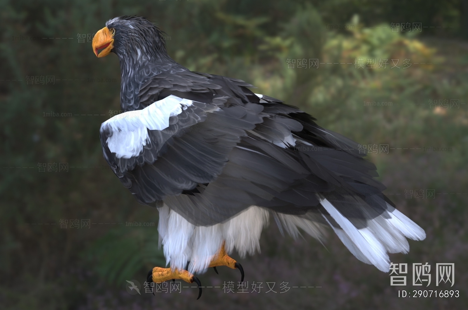 Modern Flying Animals