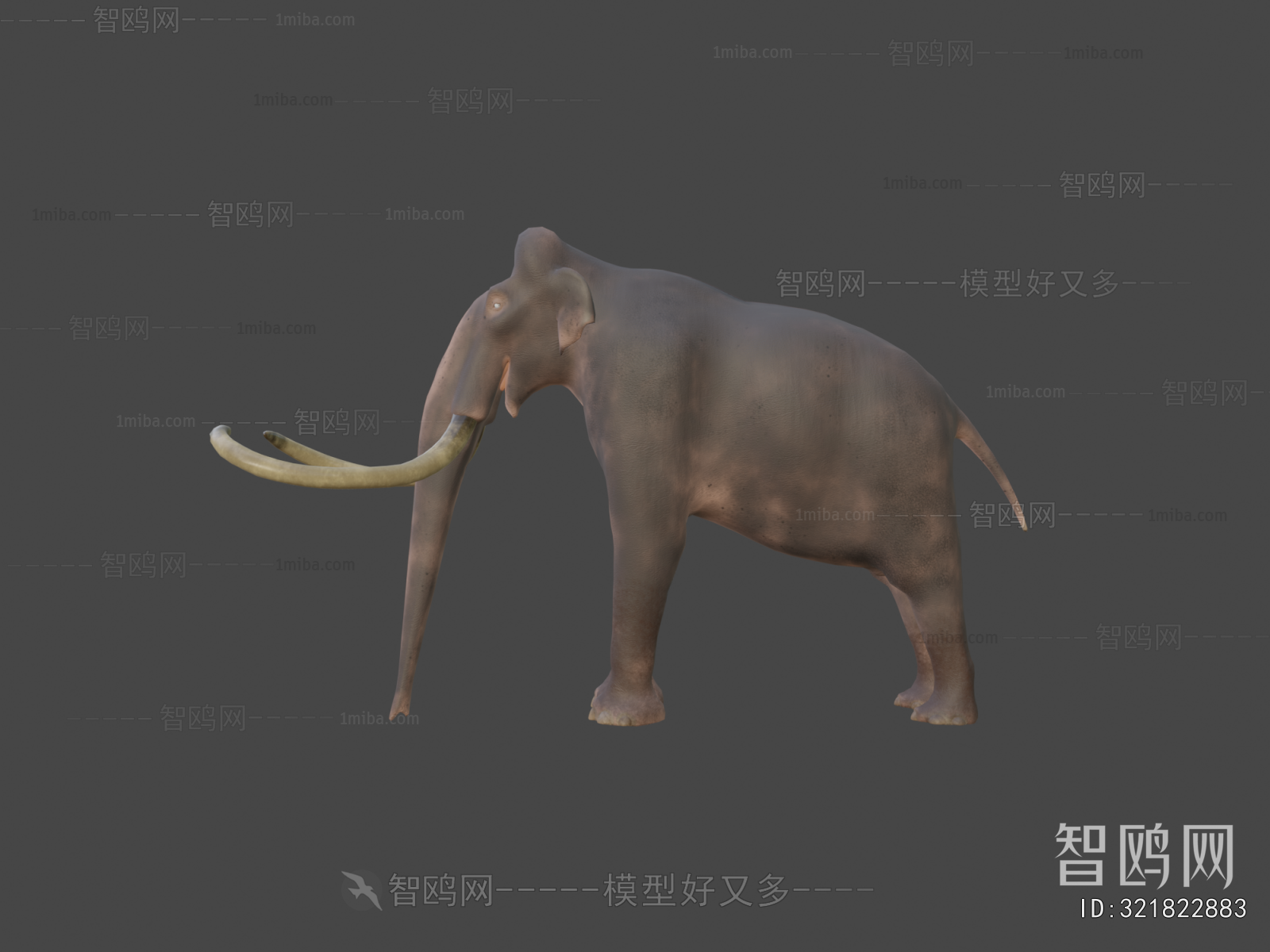 Modern Animal