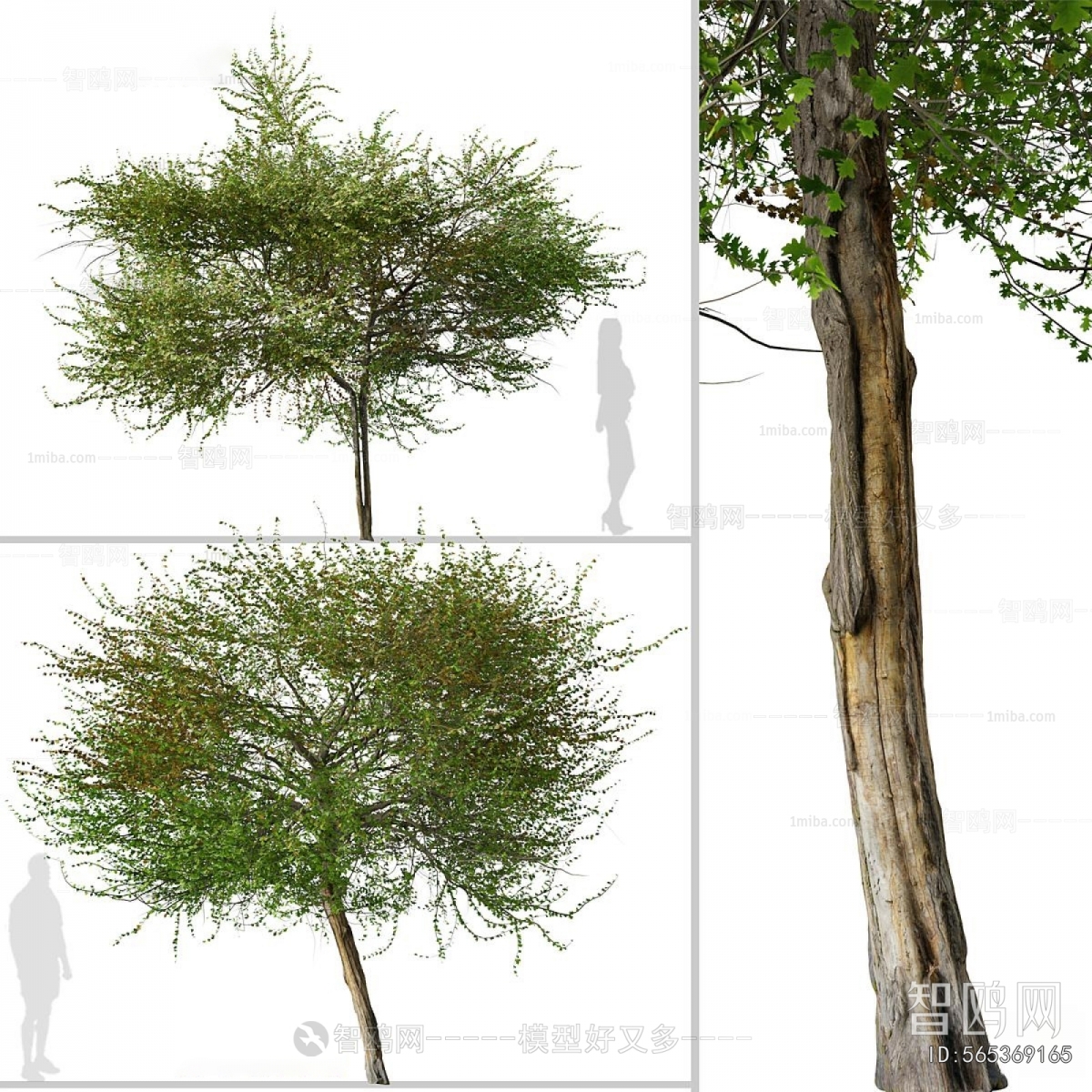 Modern Tree