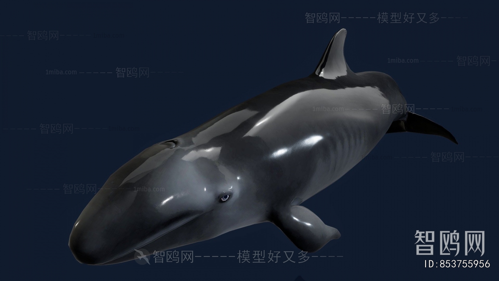 Modern Animal