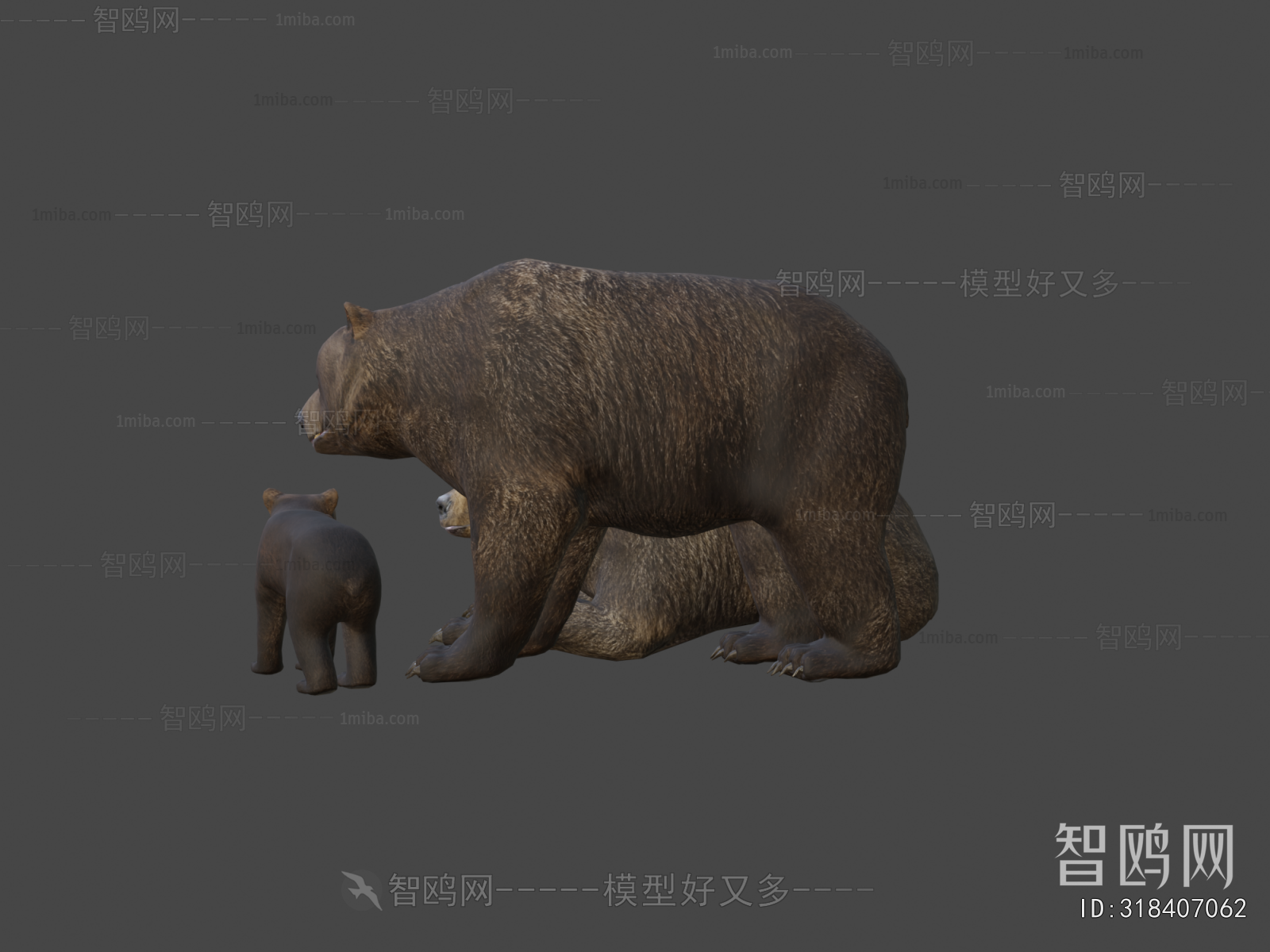 Modern Mammal