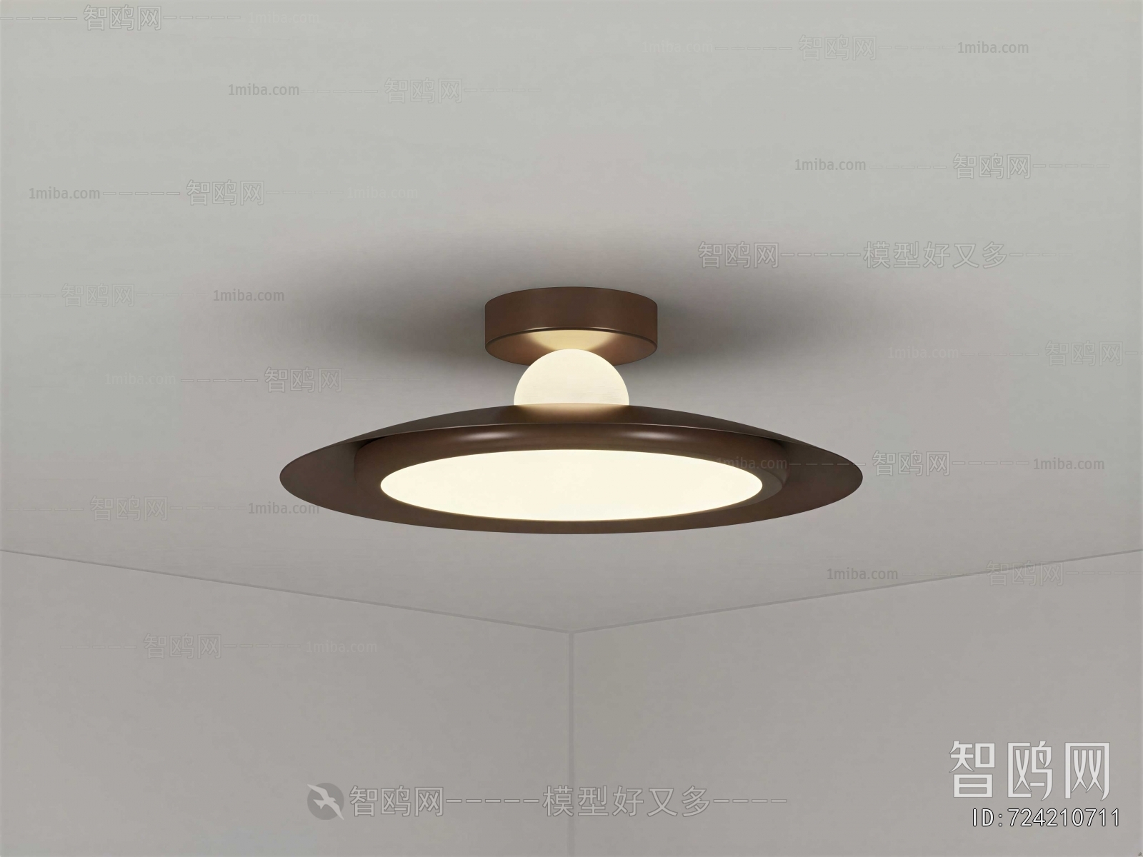 Modern Ceiling Ceiling Lamp
