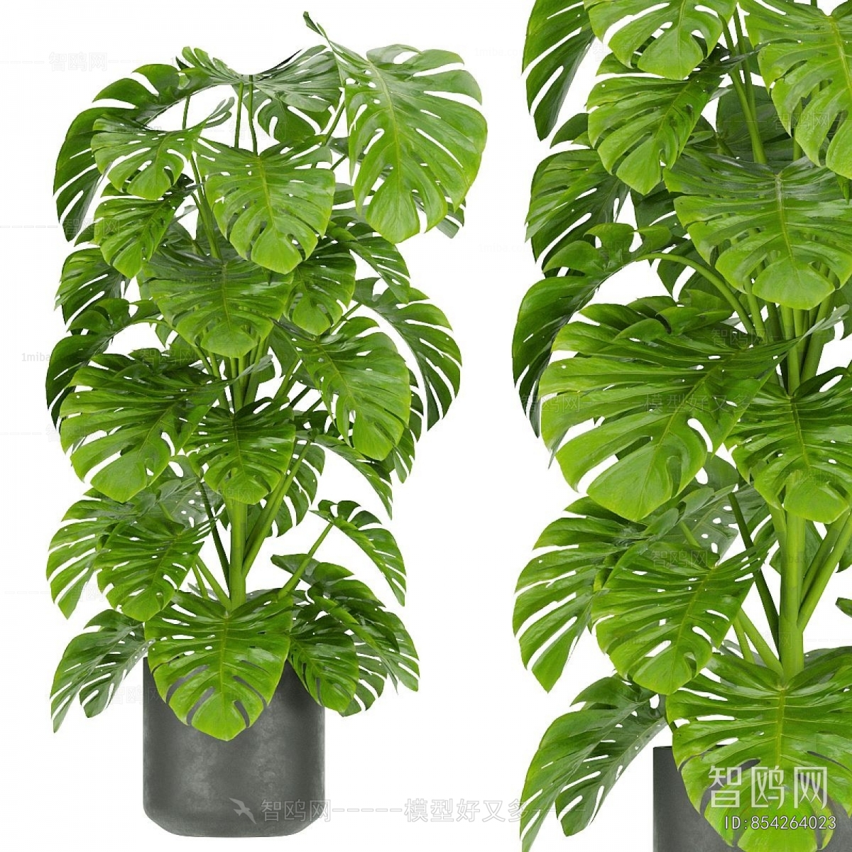 Modern Ground Green Plant Potted Plants