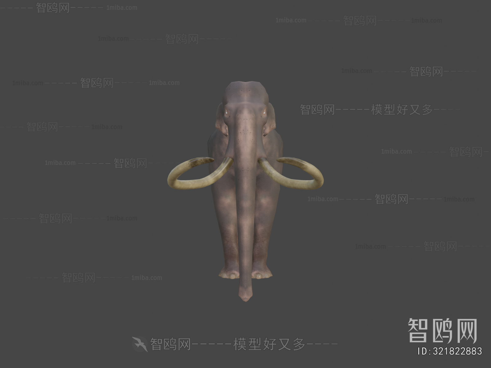 Modern Animal
