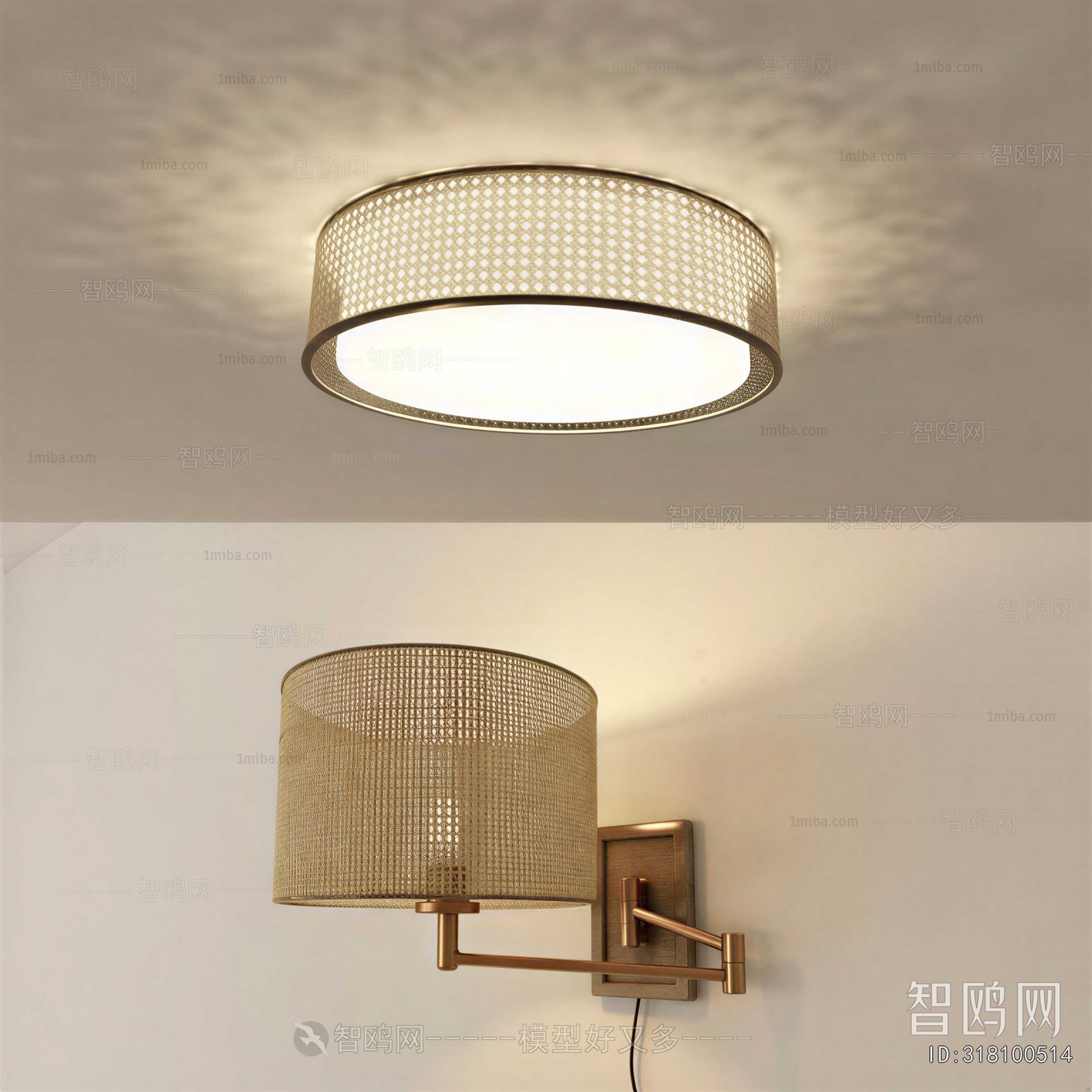 Modern Ceiling Ceiling Lamp