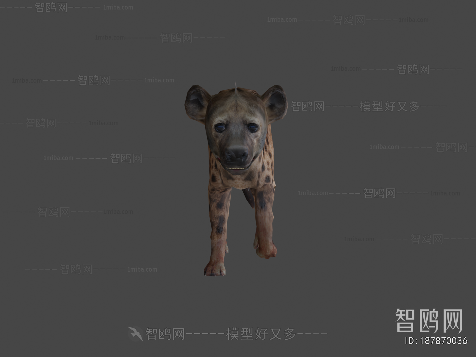 Modern Animal