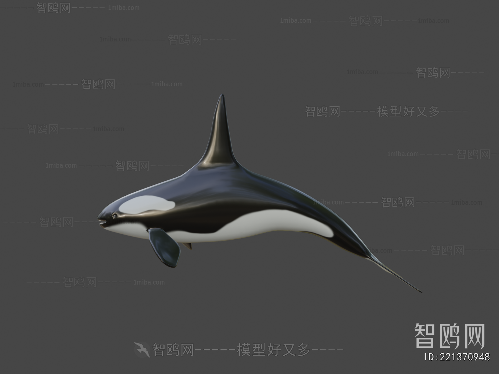 Modern Animal