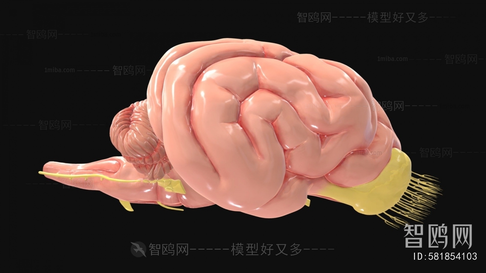 Modern Medical Equipment