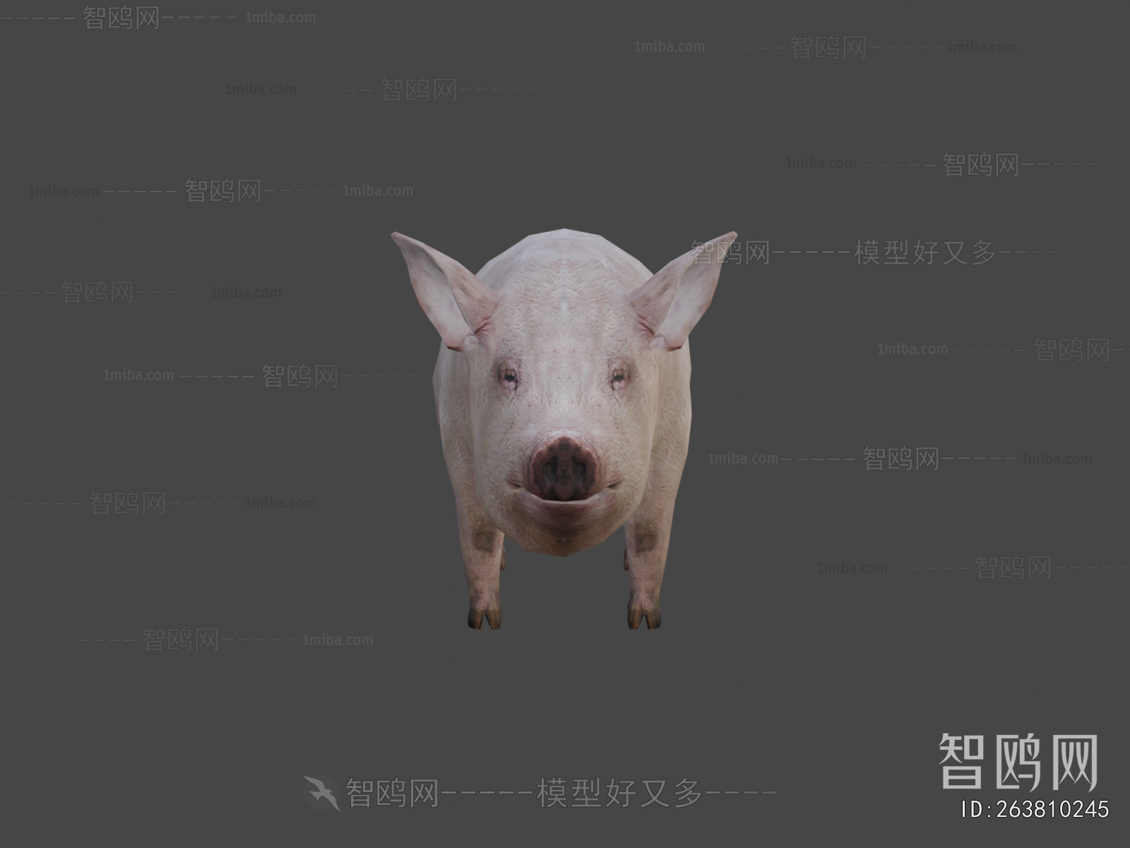 Modern Animal Pig