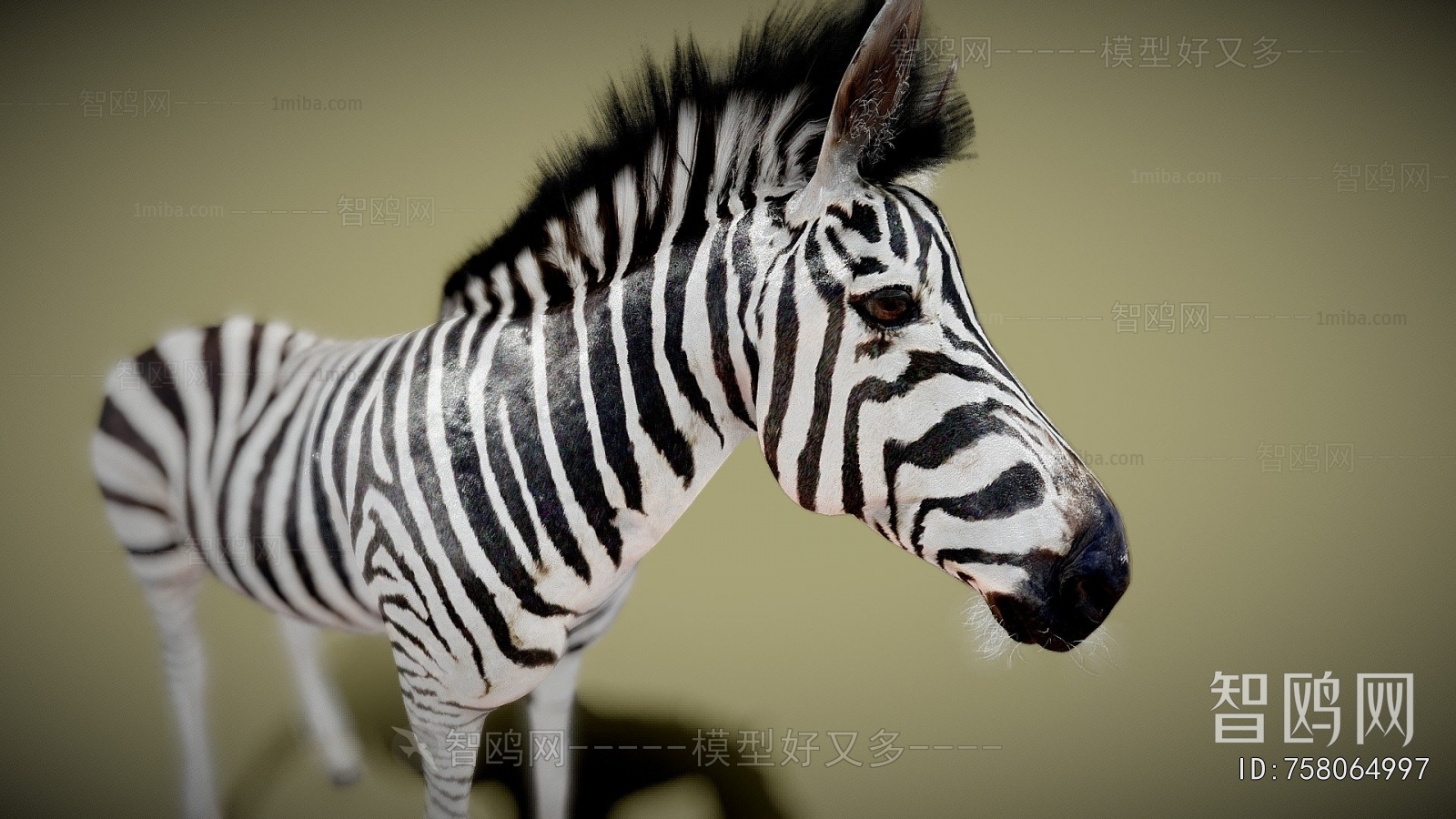 Modern Animal Horse