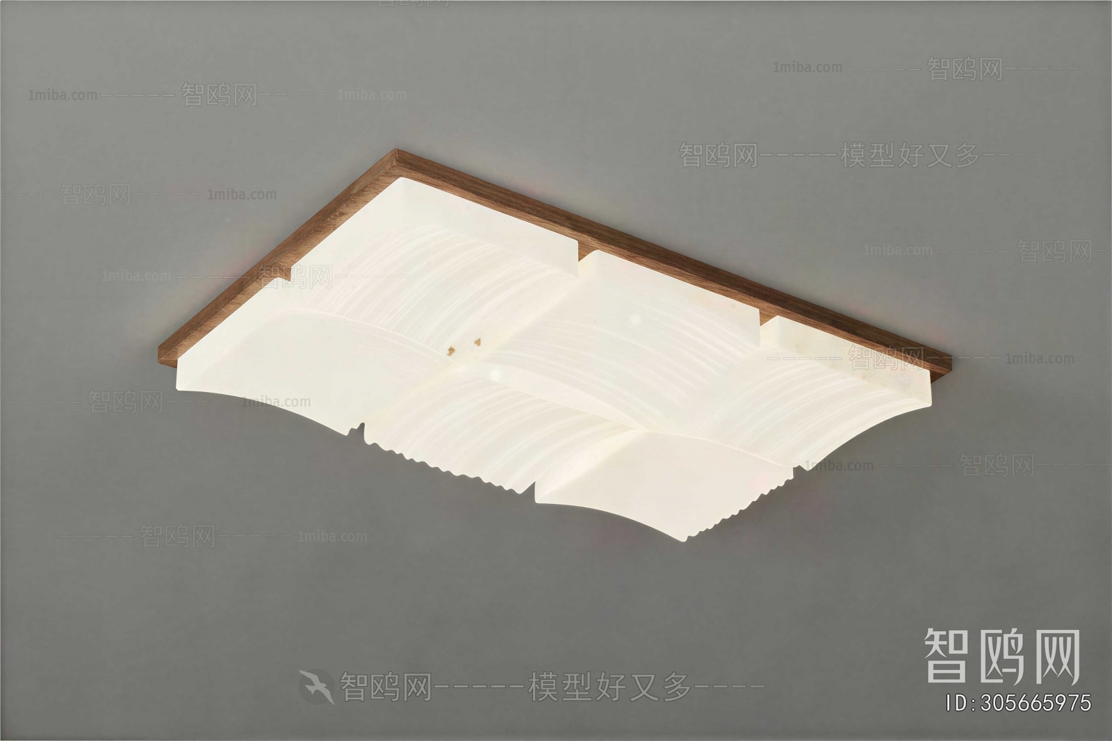 Modern Ceiling Ceiling Lamp